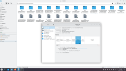 Pohľad_z_Kubuntu_live_USB_na_šifrovaný_zamknutý_home_priečin_kubGy1u.png